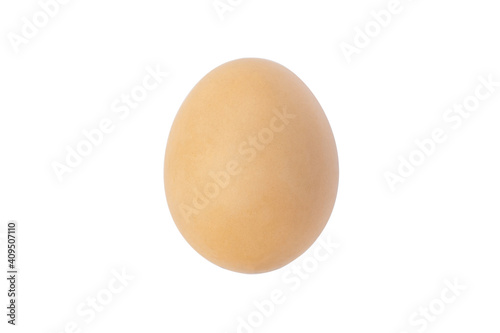 Natural light brown egg on white background. Clipping Paths.