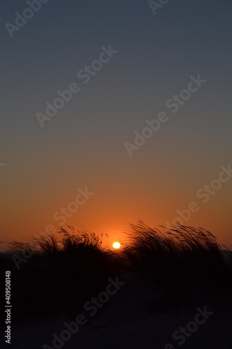 Low angle view of silhouette plants against clean colorful sky. Background