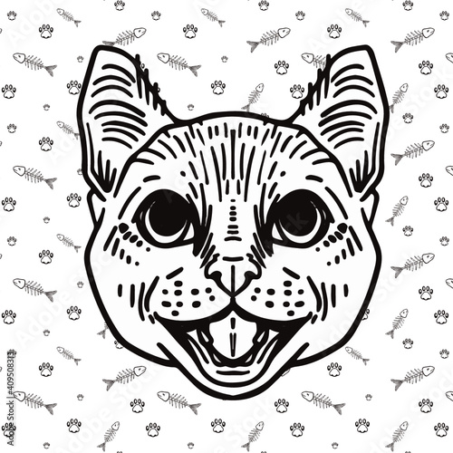 Fototapeta Naklejka Na Ścianę i Meble -  Vector illustration of a cat with pattern background