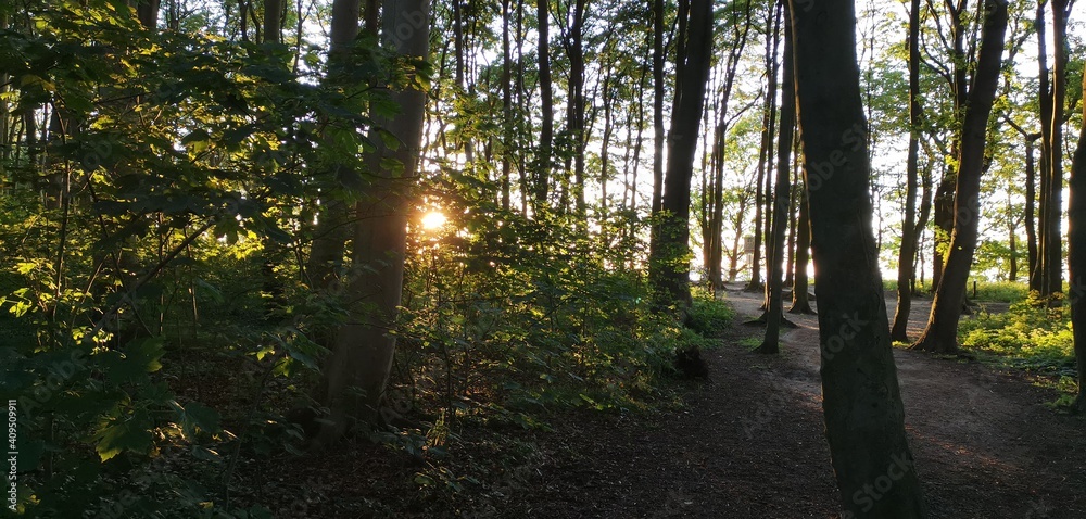 Fototapeta premium Landschaft