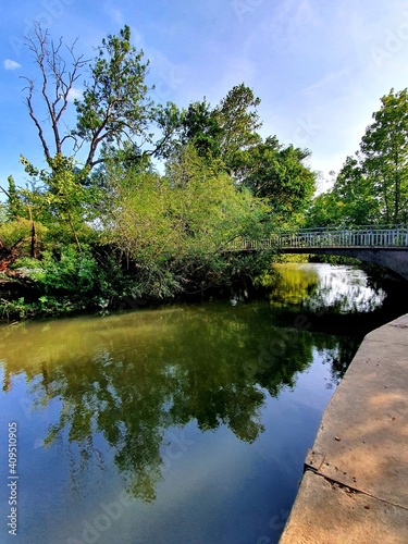 lake in the forest