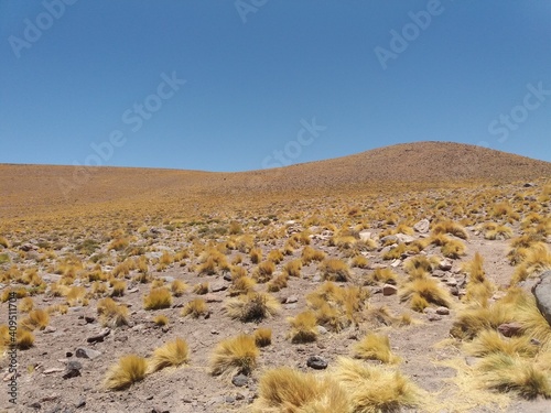 atacama