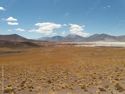 atacama