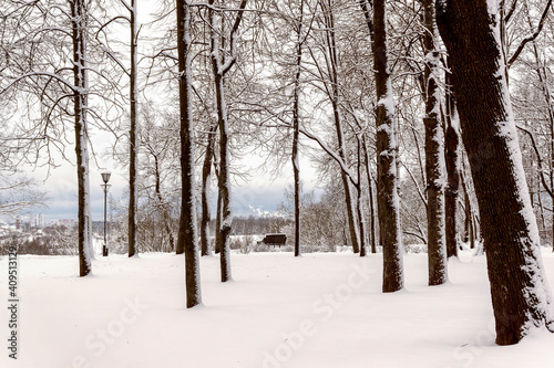 Winter, snowy morning in the Gomel park, Belarus.
