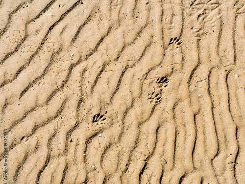 Ripples in flat river sand