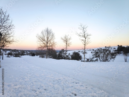 winter landscape with snow © David