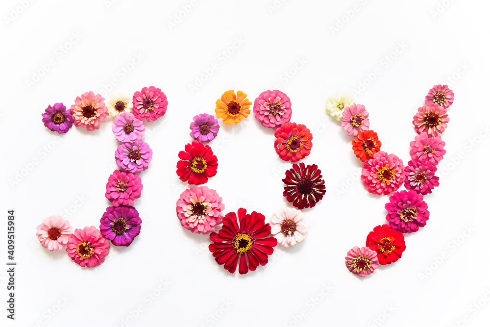 Word JOY made of bright colourful zinnia flowers isolated on white background Word JOY made of bright colourful zinnia flowers isolated on white background