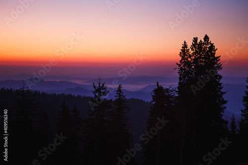 The silhouette of a fir tree against the background of a mountain valley and the orange and purple sky at dawn. Sunrise in the mountains, panoramic view.