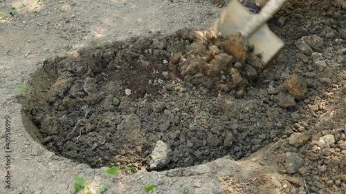 Wallpaper Mural man planting a tree. Sunrise. Silhouette. Spring 4k slow motion Torontodigital.ca