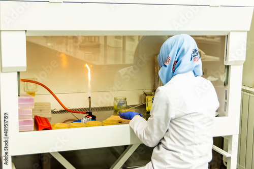 Female muslim scientist working under the laminar flow hood or cabinet in modern laboratory