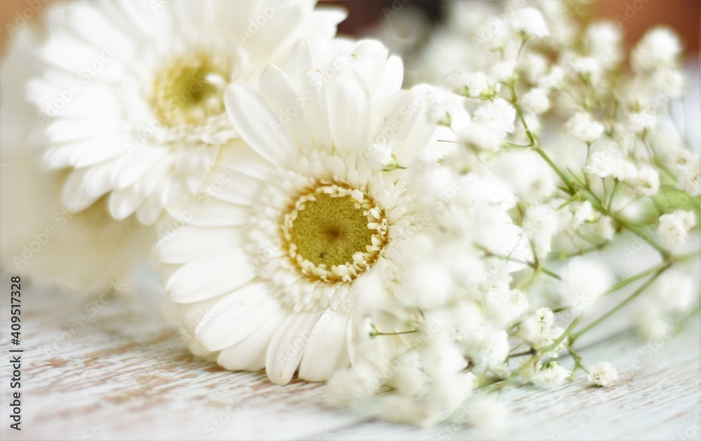 Obraz premium white chamomile flowers on a wooden old table