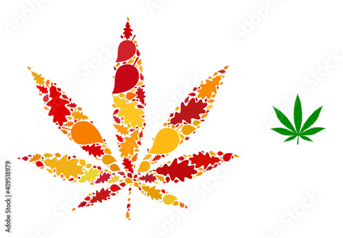 Cannabis mosaic icon created for fall season. Vector cannabis mosaic is made from random fall maple and oak leaves. Mosaic autumn leaves in bright gold, brown and red colors.