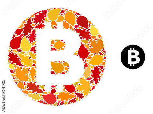 Bitcoin mosaic icon designed for fall season. Vector bitcoin mosaic is composed of randomized autumn maple and oak leaves. Mosaic autumn leaves in bright gold, brown and red colors.