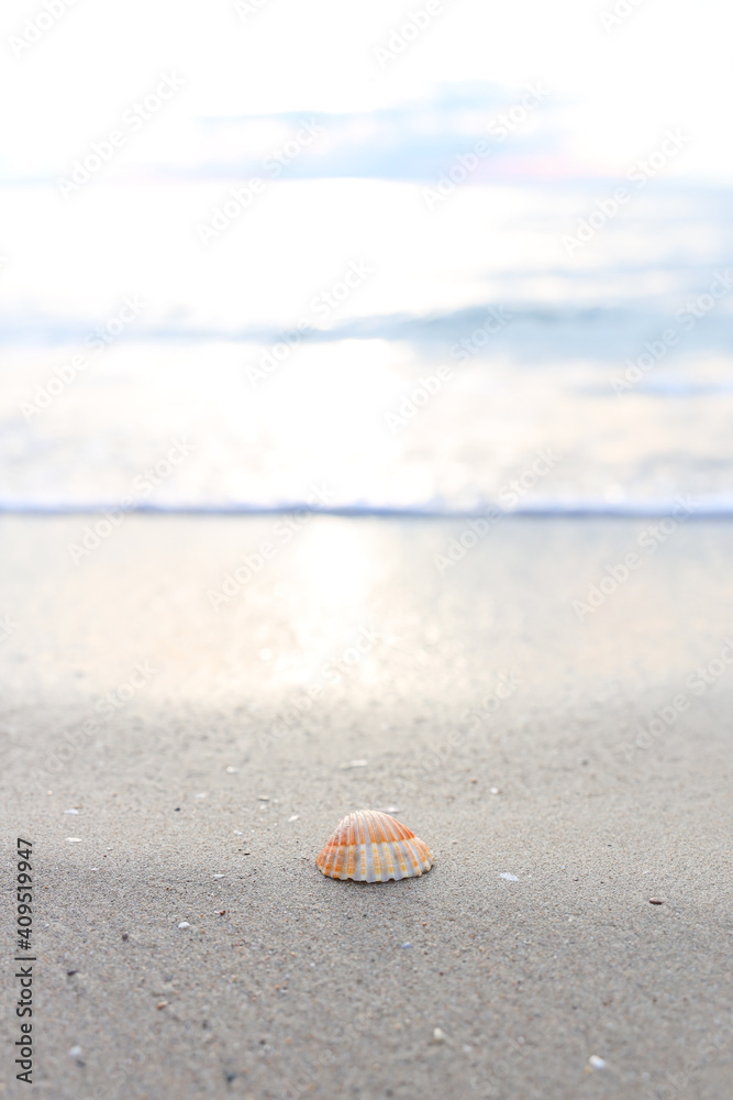 Selective Focus of sandy beach, small seashell swept by a wave on the mediterranean sea coast at sunset in Antalya Turkey. Holiday, Travel and Vacation Concept. Selective Focus of sandy beach, small seashell swept by a wave on the mediterranean sea coast at sunset in Antalya Turkey. Holiday, Travel and Vacation Concept.