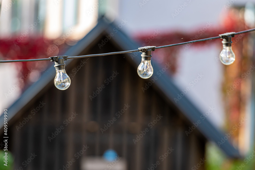 Fototapeta premium decorative light bulbs isolated on defocused background
