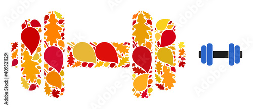 Barbell mosaic icon organized for fall season. Vector barbell mosaic is composed with randomized autumn maple and oak leaves. Mosaic autumn leaves in bright gold, brown and red colors.