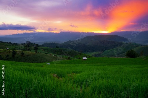Beautiful scene of terraced rice field in Ban Pa Bong Piang village in Chiang Mai province, Thailand