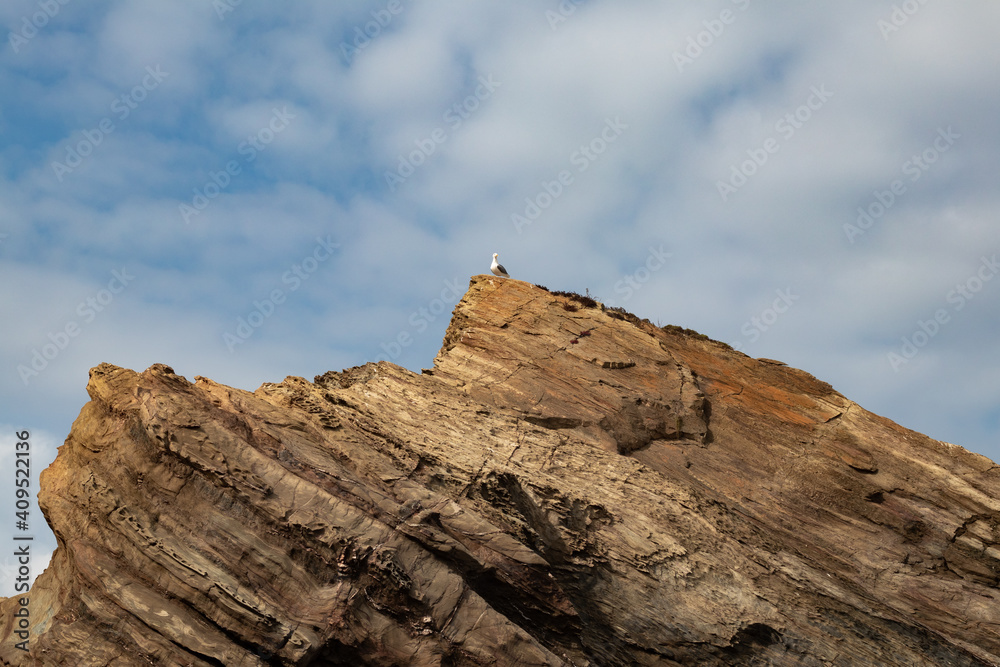 Seagull standing far away on top of a big rock, Porto covo, Portugal.