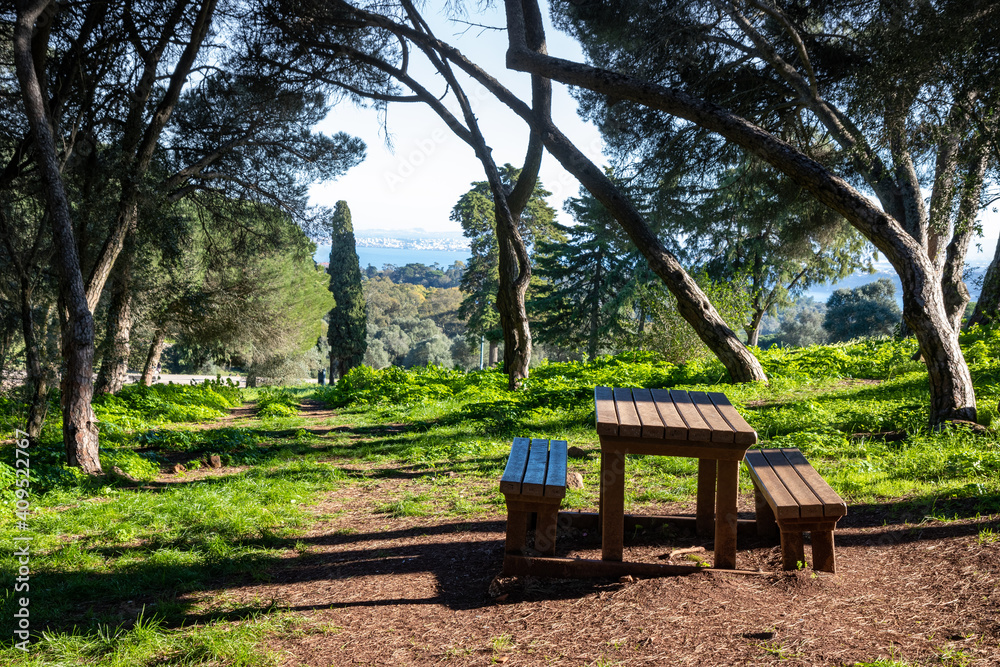 Wooden picnic table at the Monsanto Natural Park, Portugal.