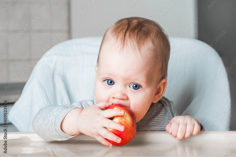 Cheerful child eating red apple, vitamins. Close up portrait of happy boy in chair. Lure. concept of childhood, care, first lure and baby food. first feeding of baby. Cheerful child eating red apple, vitamins. Close up portrait of happy boy in chair. Lure. concept of childhood, care, first lure and baby food. first feeding of baby.
