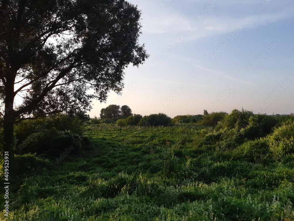 Obraz premium sunset in the mountains