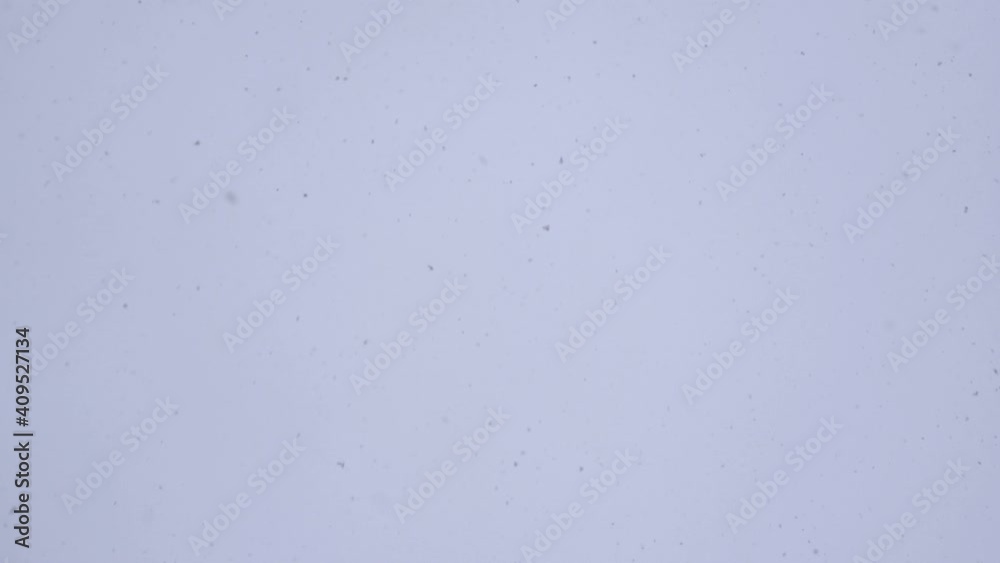 Snow flakes fall from the sky in winter. Snowfall, background, slow motion. Winter snowfall in gray cloudy sky. Snow fall abstract background. Snow flakes on White background.