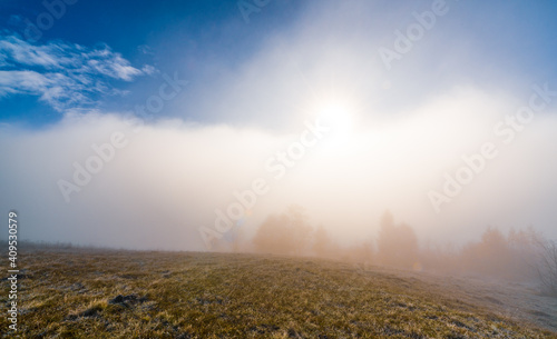Early morning and frozen grass covered in fog under the bright sun © YouraPechkin