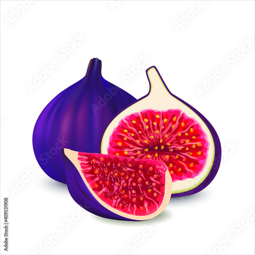Fresh ripe delicious juicy figs whole and cut in half and quarter.  Vector illustration of fresh figs isolated on white background. Sweet juicy fruit. Summer tropical fruits for a healthy lifestyle.