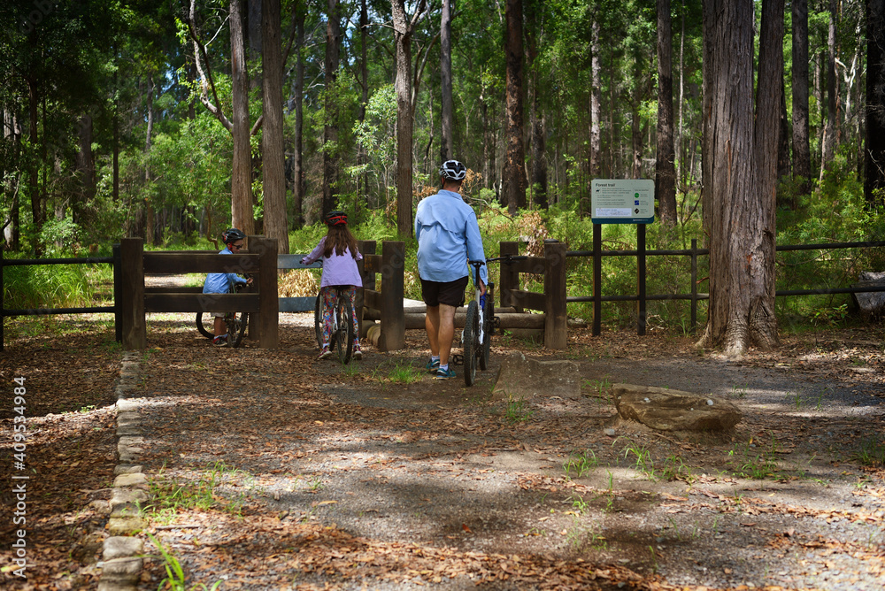 Fototapeta premium family riding bikes in park
