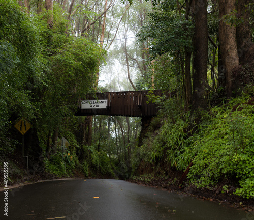 Montville, Sunshine Coast Hinterland, Queensland, Australia photo