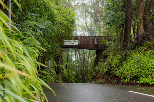 Montville, Sunshine Coast Hinterland, Queensland, Australia
