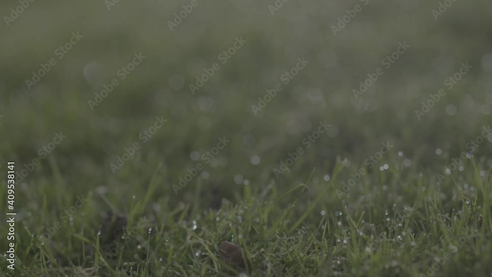 Single person playing a round of golf