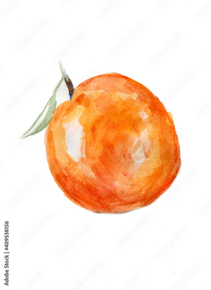 Fototapeta premium watercolor fruit hand drawn bright