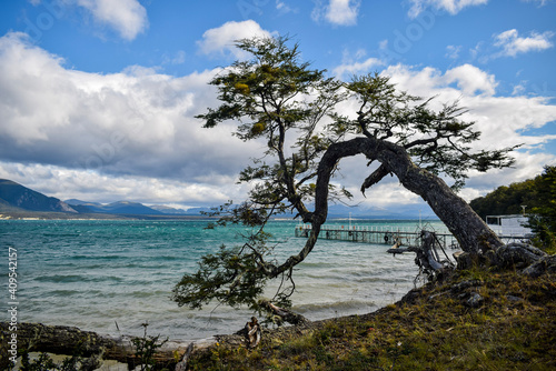 lake tahoe state