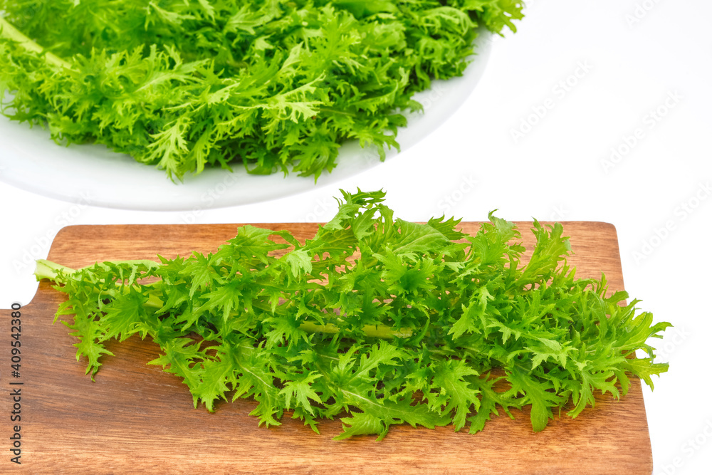 わさび菜 wasabi greens わさび菜 wasabi greens