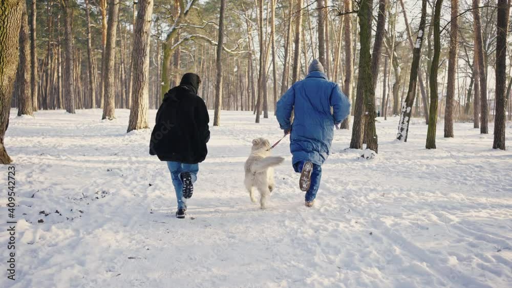Young happy family runs along the path with the dog. Winter walk in the park with a pet. Back view Young happy family runs along the path with the dog. Winter walk in the park with a pet. Back view