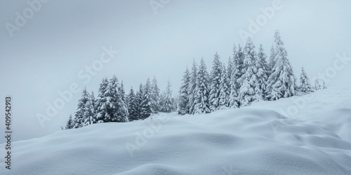 Panorama einer verschneiten Winterlandschaft mit dichtem Wald in Österreich