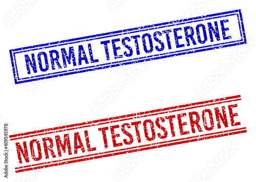 NORMAL TESTOSTERONE rubber watermarks with grunge style. Vectors designed with double lines, in blue and red colors. Tag placed inside double rectangle frame and parallel lines.