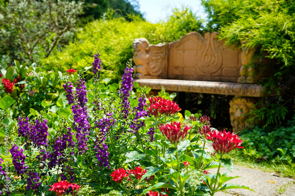 Fototapeta premium 小さな庭