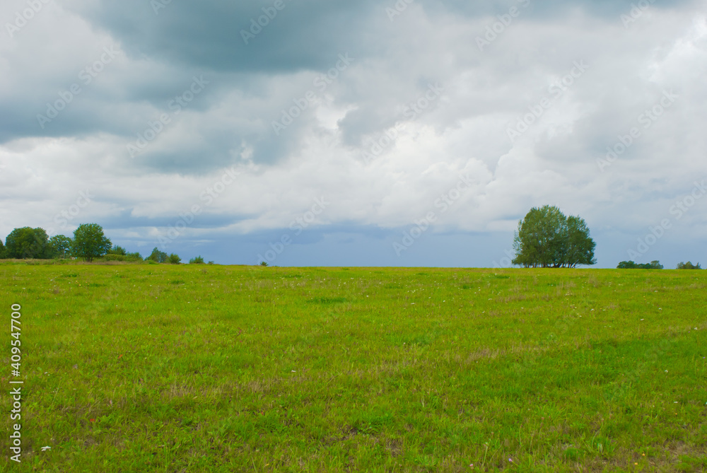 summer meadow on the background of the sky with clouds