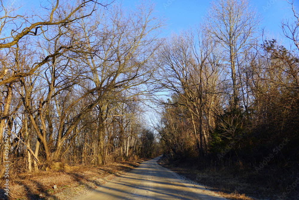 The view of empty road with dead trees near Chesapeake City, Maryland, U.S The view of empty road with dead trees near Chesapeake City, Maryland, U.S