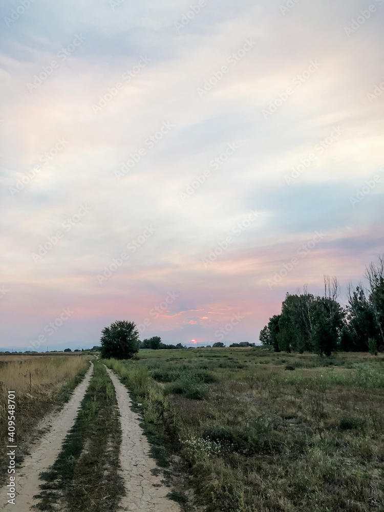 pastel pink and blue sky sunset with clouds, dirt road, and trees