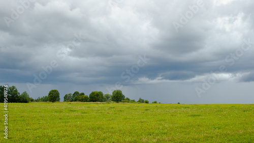 summer meadow on the background of the sky with clouds