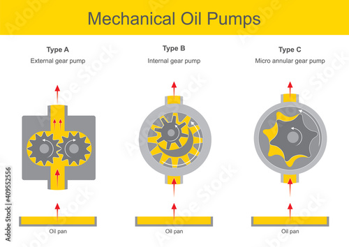 Mechanical Oil Pumps. Illustration explain the mechanical oil pump operation 3 types and cross section interior gear parts..