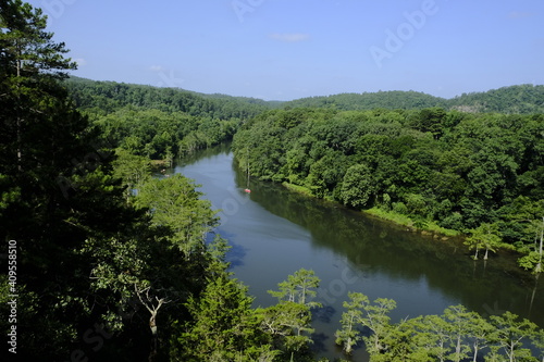 View of the river between the woods in Beavers Bend State Park  Oklahoma