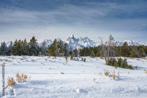 Winter Scene in Jackson Hole with Snow Covered Grand Tetons