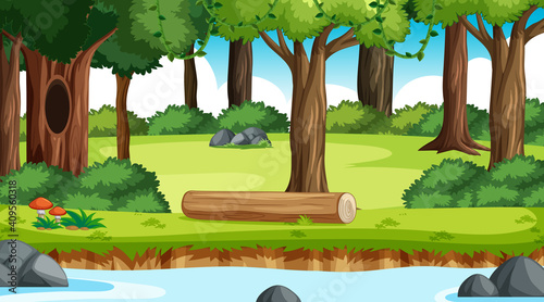 Nature outdoor forest background