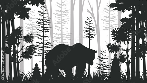 Misty forest background with bear silhouette