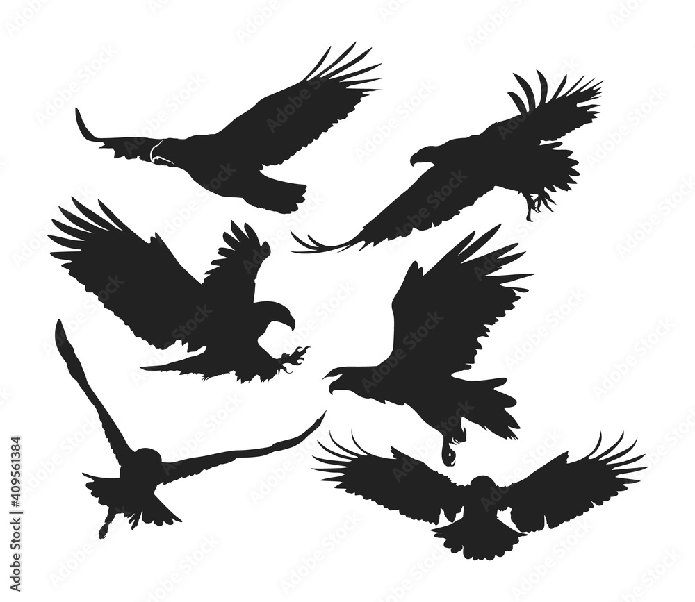 Obraz premium Eagle silhouette on white background