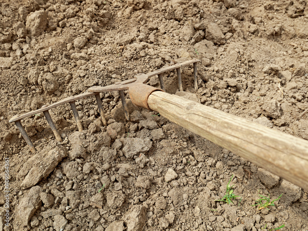 Old rusty metal rake with a wooden handle on the ground, close-up Old rusty metal rake with a wooden handle on the ground, close-up